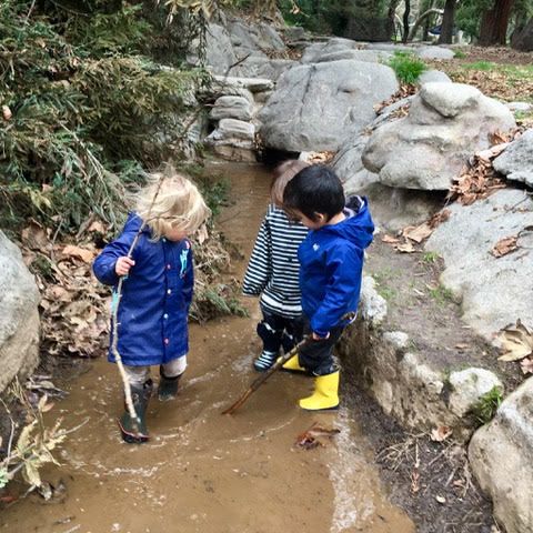 Three young children exploring nature in a creek at summer camp.
