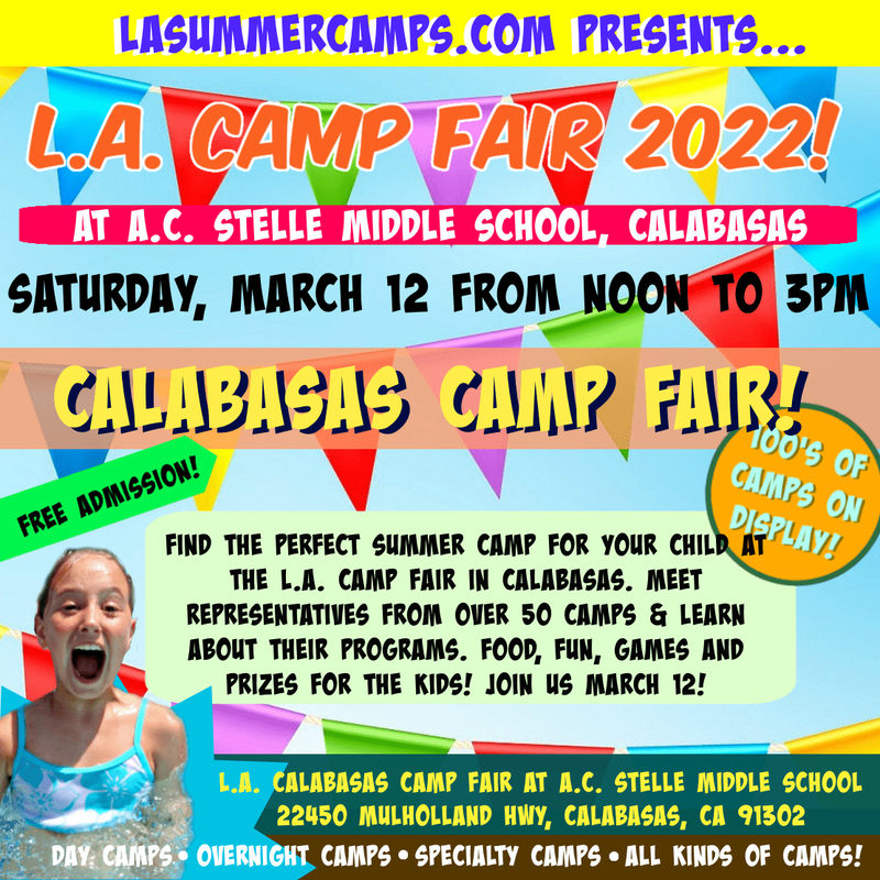 Calabasas Camp Fair Picture